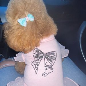 Meet your Posher, Anabell